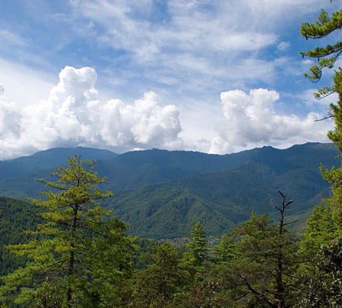 Beautiful Bhutan Tour